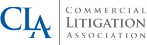 Go-Legal-Commercial-Litigation-Association-1.png